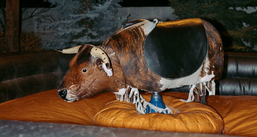 Buck Wild 4 - Bay + Bre Photo - Buck Wild Mechanical Bull Rental Wedding Vendor Buck Wild Bull Patent - Bay + Bre Photo - Buck Wild Mechanical Bull Rental Wedding Vendor