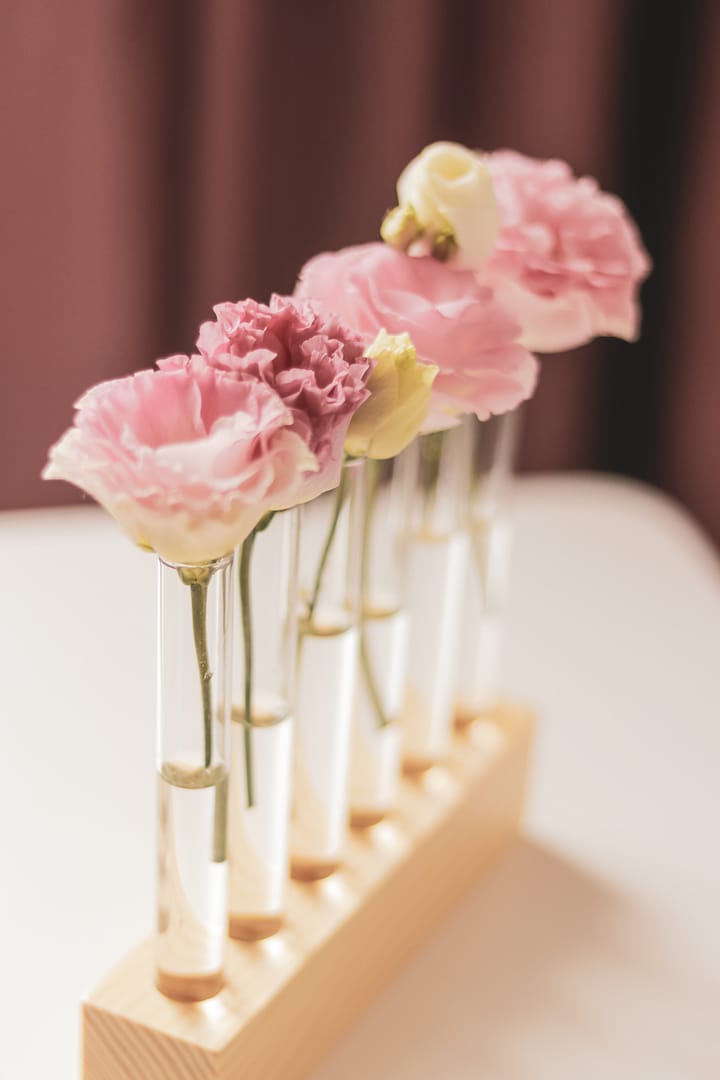 White and pink eustoma flowers in glass test tubes on a wooden stand.
