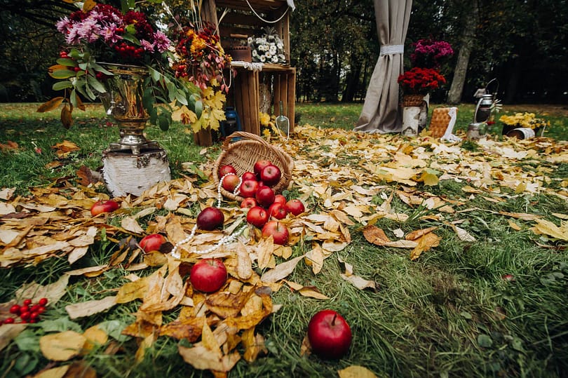 Autumn wedding ceremony on the street on the green lawn.Decor with arches of fresh flowers for the ceremony